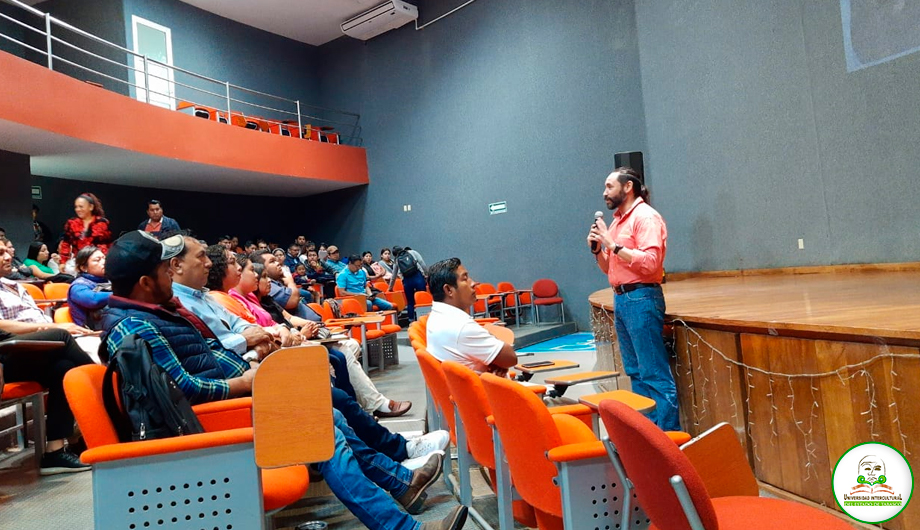 Segunda imagen
